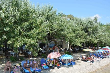 Dassia Beach - 18