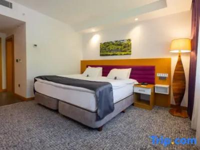 Golden Inn Uzungol - 67