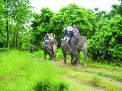 Rainbow Safari Resort - 7