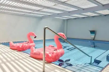 Flamingo - 12