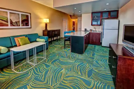 SpringHill Suites Marriott Norfolk Old Dominion University - 37