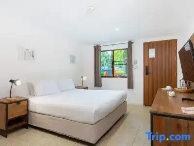 Dolphin Bay Beach Resort - 254