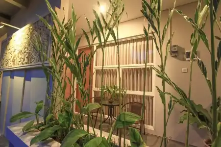 Bali True Living Apartment - 12