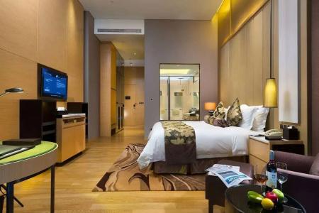 Wyndham Grand Shenzhen - 9