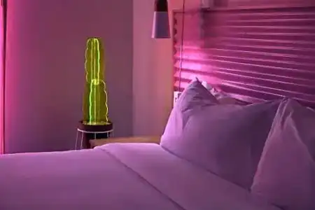 The Saguaro Palm Springs - 95