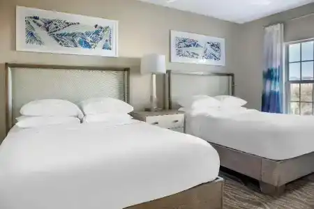 Hilton Grand Vacations Club SeaWorld® - 63