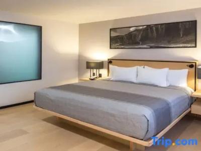 Galeria Plaza Reforma - 70
