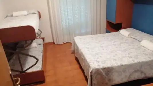 Trifoglio - 54