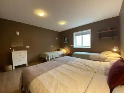 Dalshöfdi Guesthouse - 32