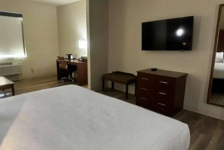 Wingate by Wyndham College Station South - 90