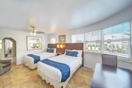 The Palms - 26
