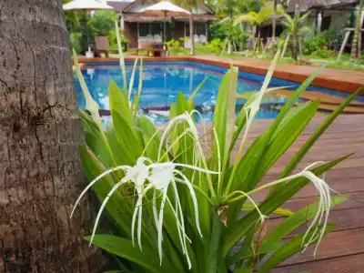 Isle Beach Resort Krabi - 43