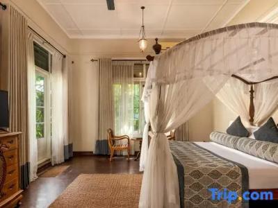 Castle Hill Bungalow Boutique - 67