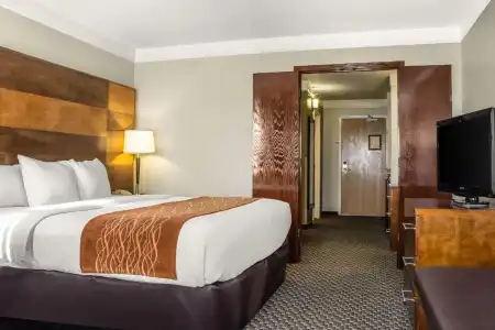 Comfort Inn & Suites Durango - 81