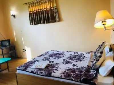 Mountain Resort - 5