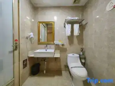 Bisheng - 21