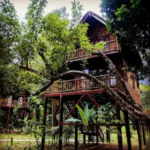 Our Jungle Camp - Eco Resort - 0