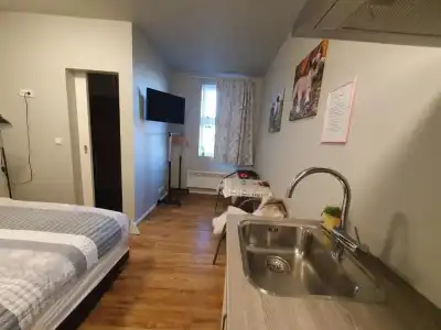 Skálatjörn Guesthouse - 70