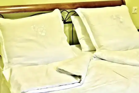 Red Fox Guesthouse - 24