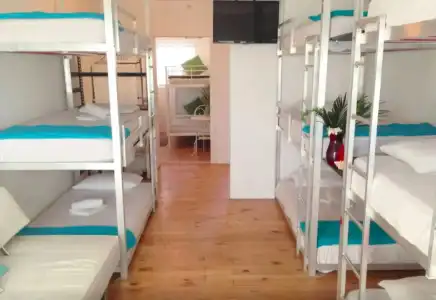 Bikini Hostel, Cafe & Beer Garden - 2
