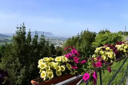Loreto - 13