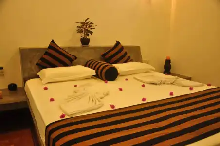 Green Villa - 5