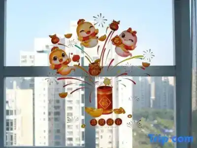 Shenzhen Sichuan - 51