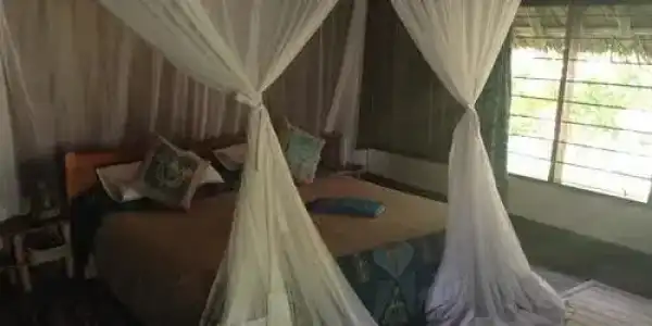 Peponi Beach Resort - 3