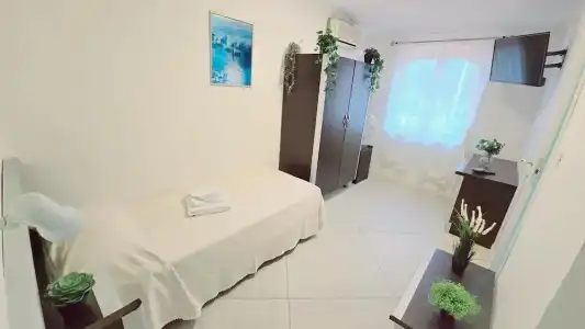 paradiso - 7
