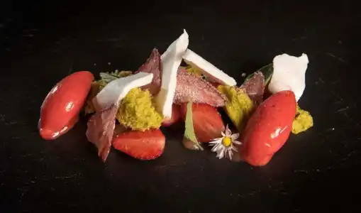 SALZANO - Spa - Restaurant - 9