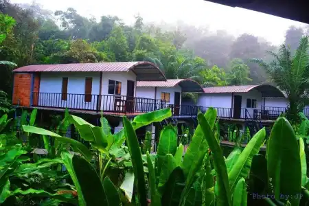 Khaosok River Camp - 56
