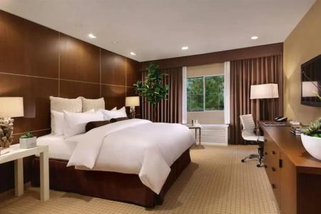 Silverton Casino Lodge - Newly Renovated - 4