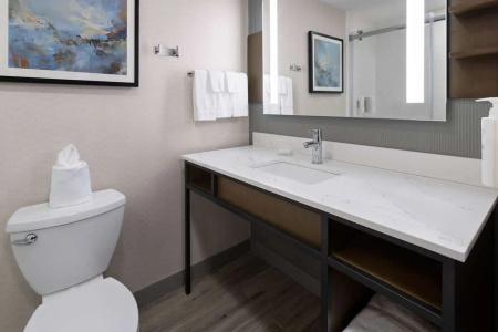 Hilton Garden Inn Winston-Salem/Hanes Mall - 63