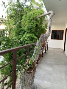 Los Arcos - TULUM - 11