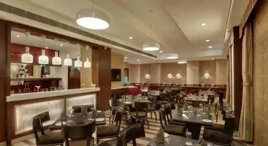 The Golden Palms & Spa Delhi - 17
