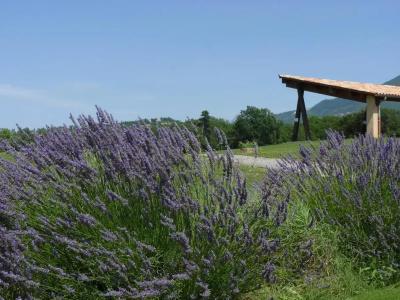 Golf De Digne Les Bains - 19
