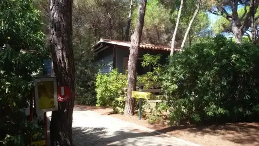 Camping Village Il Sole - 55