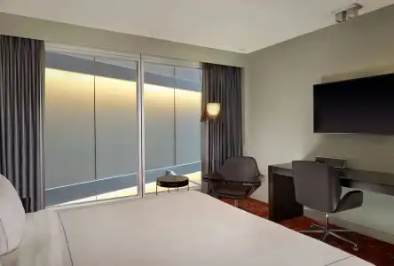 Park Plaza London Westminster Bridge - 2