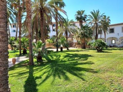 Al Balhara Resort & Spa - 21