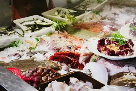 La Codorniz - 12