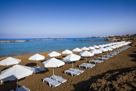Venus Beach - 26