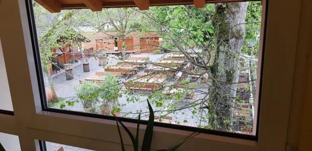 Hotel-Restaurant Fröhlich - 5