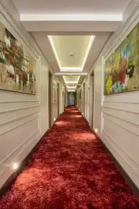 Luxon - 16