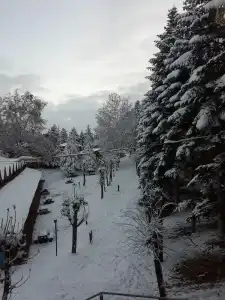 Bolu Yildiz - 31