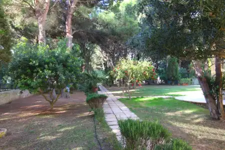Cala dei Pini - 11