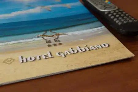 Gabbiano - 16