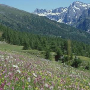 Sud-Ovest - 27