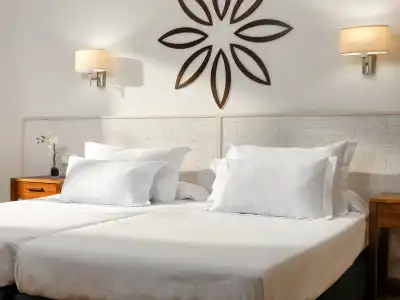 H10 Delfín - Adults Only - 4