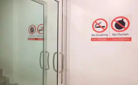 SnoozZotel - 10