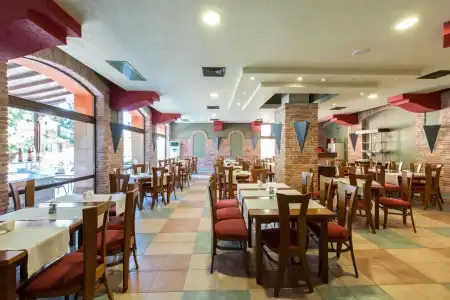 Hrizantema- All Inclusive - 43